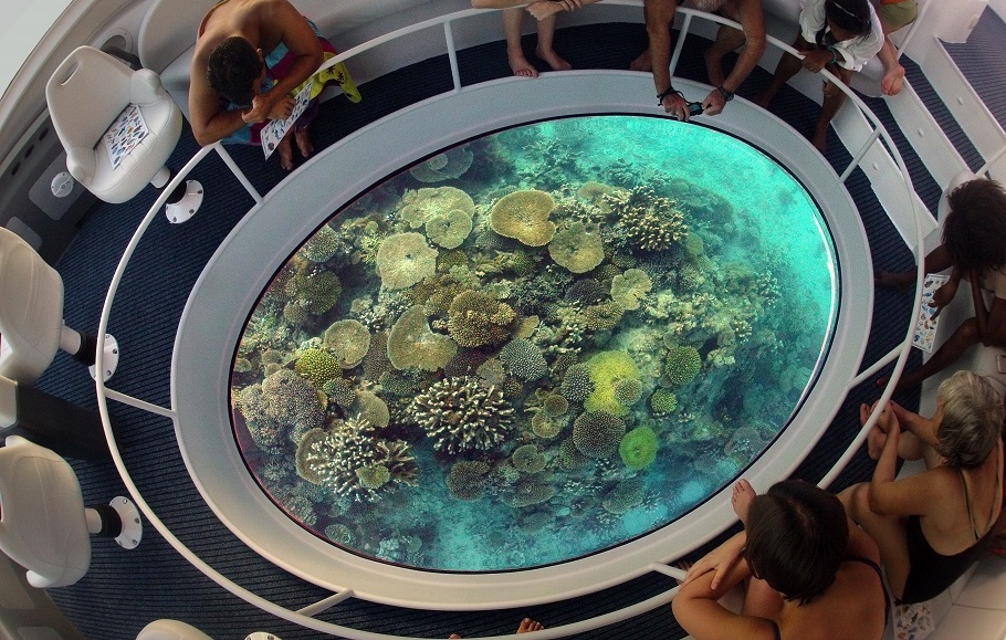 glass-bottom-ride